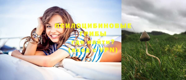 spice Рославль