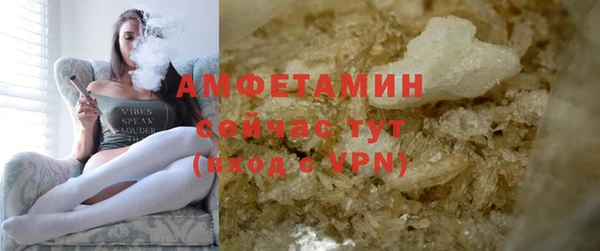 твердый Аркадак