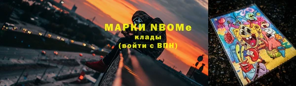 индика Армянск