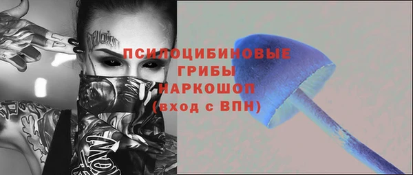 индика Армянск