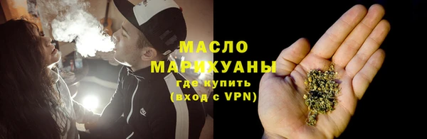 индика Армянск