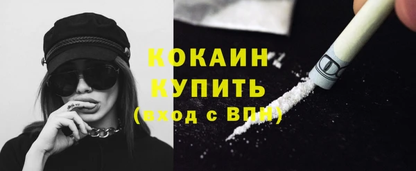 индика Армянск