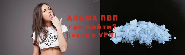 индика Армянск
