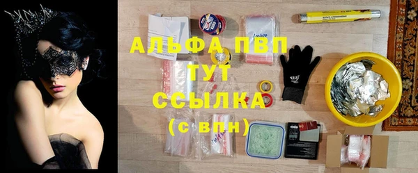 индика Армянск