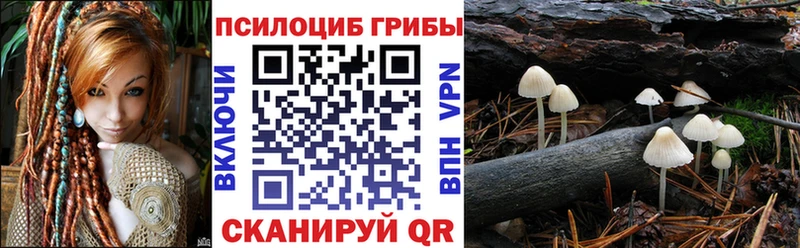 Псилоцибиновые грибы Magic Shrooms  Зея 