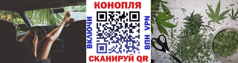купить наркотик  Зея  Каннабис сатива 